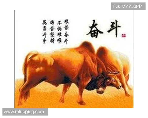 北京羽毛球队的崛起之路：亚运会背后的奋斗与荣耀故事